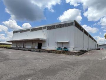 Local Cuautla