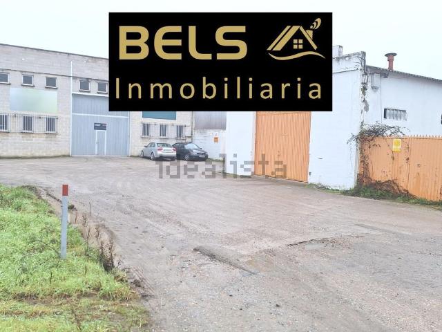 Local, Cubillos del Sil