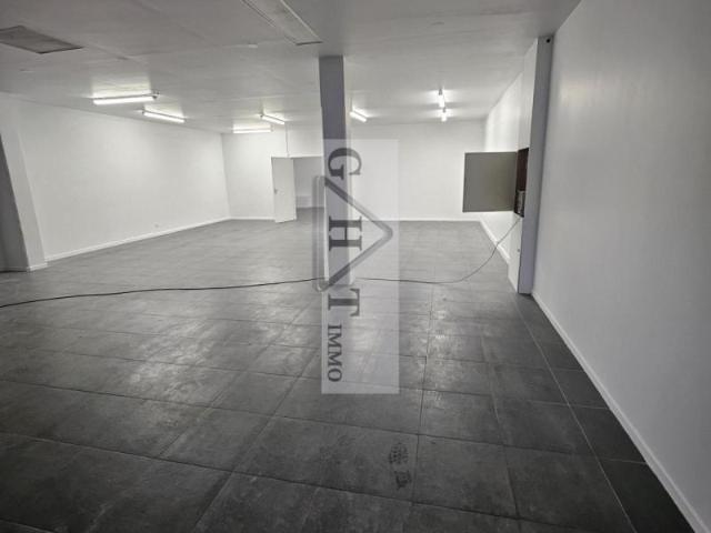 Local d'activite 215 M²