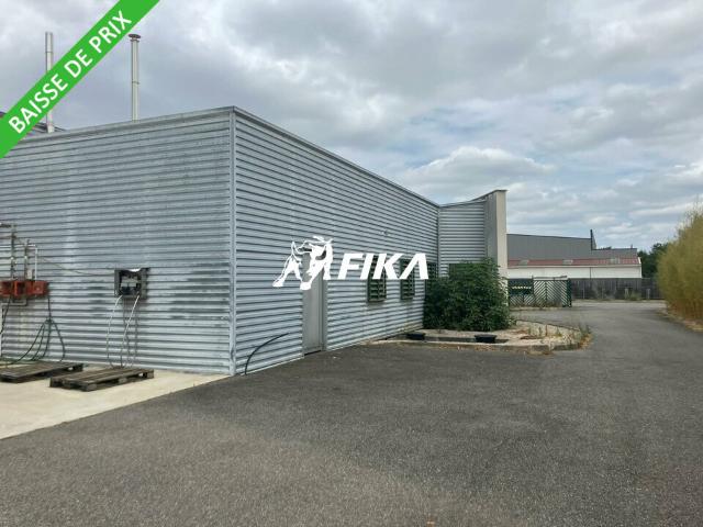 Local d'activité à vendre Fontenilles Accès A64 & N124