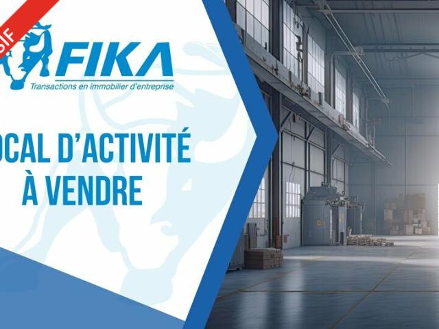 Local d'activité à vendre L'Union Proche A68 et transports