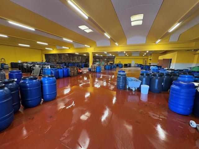 Local d'activité à vendre Montagny 7 quais et chambre froide