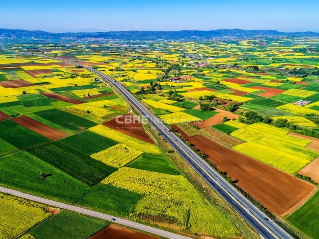 Local d'activité à construire Holtzheim Proche A351