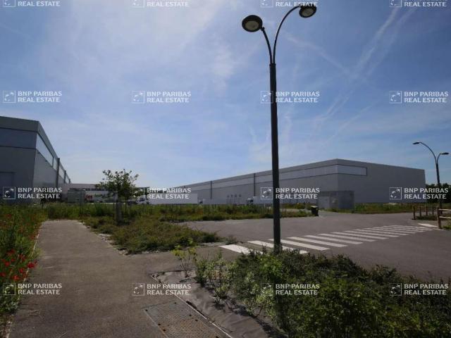 Local d'activité à louer Caurel Projet de 12 000 m² divisible