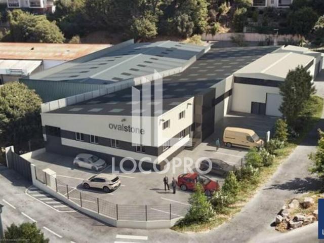 Local d'activité à louer La Trinité Batiment rénové