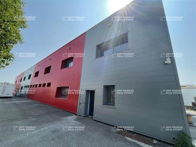 Local d'activité à louer Montpellier Est Frejorgues Mauguio
