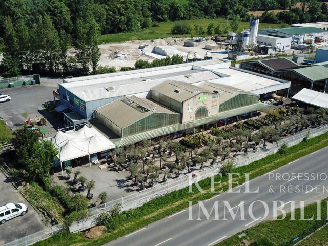 Local d'activité de grande surface Zone commerciale dynamique