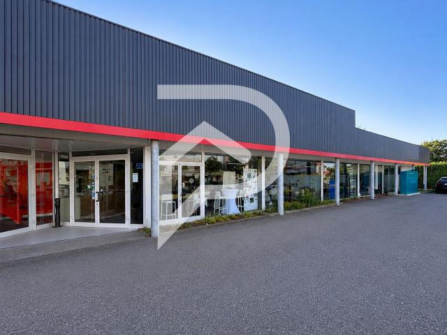 Local d'activité Souffelweyersheim 500 m2