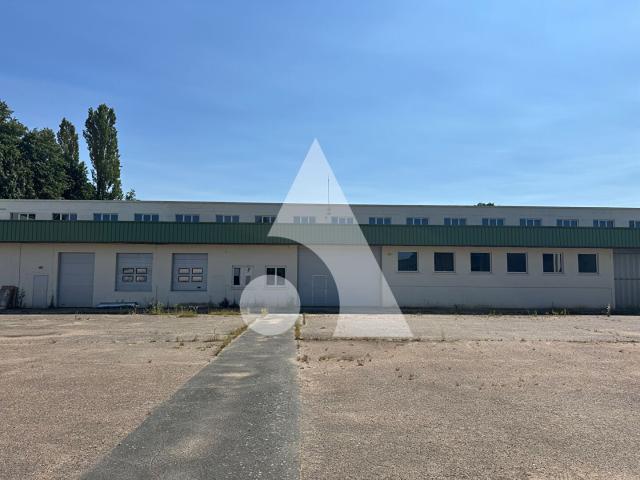 Local d'activité Saint Martin De Brethencourt 10200 m2