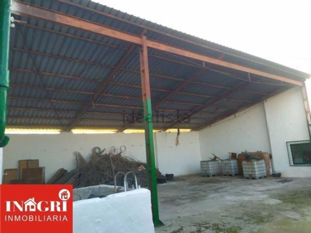 Local, Daimiel