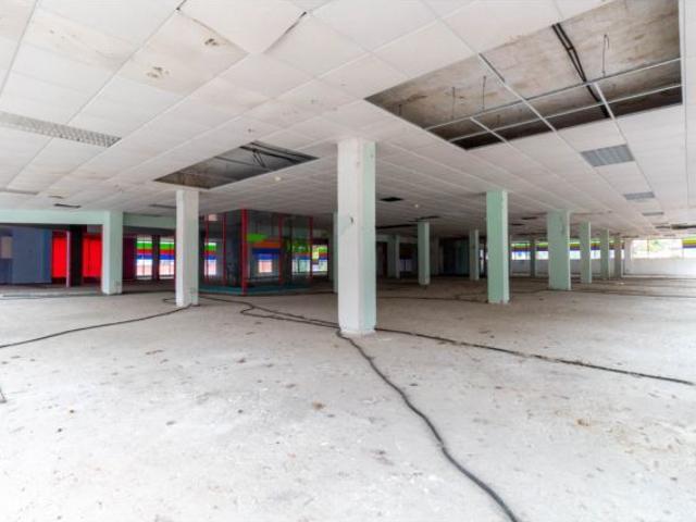 LOCAL DE 1000 METROS EN ZALLA
