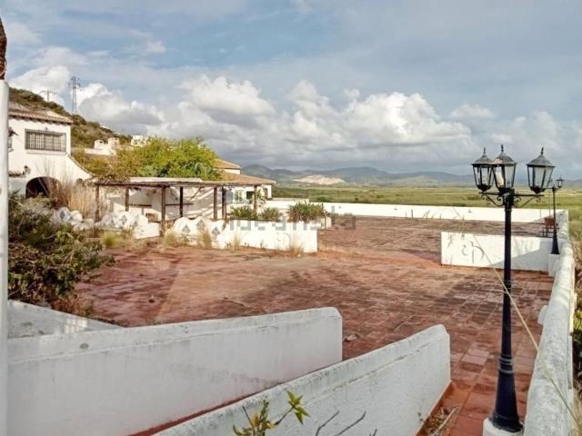 Local, Denia