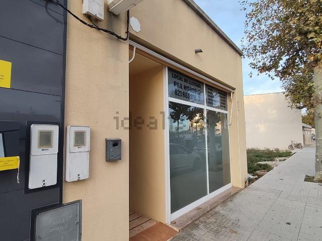 Local, Deltebre