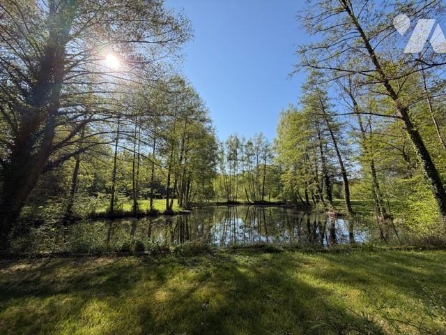 Local divers en vente à, 54800€