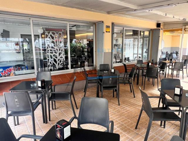Local, Eivissa