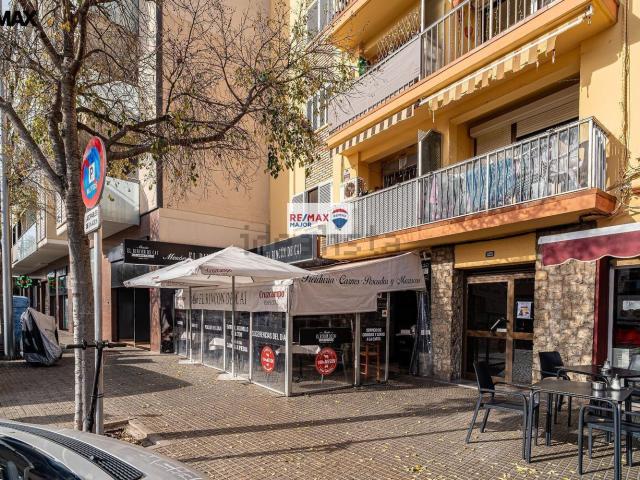 Local, El Vivero, Palma de Mallorca