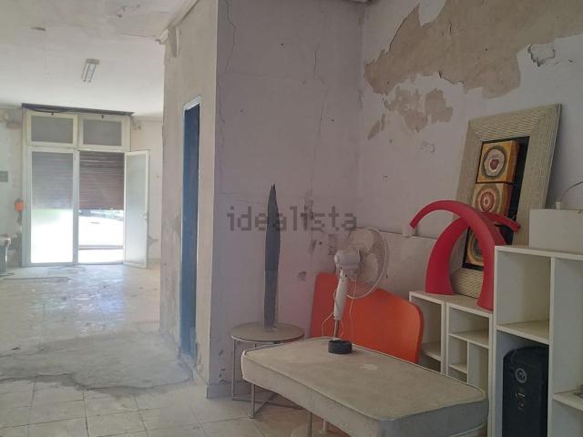 Local, El Botànic, València