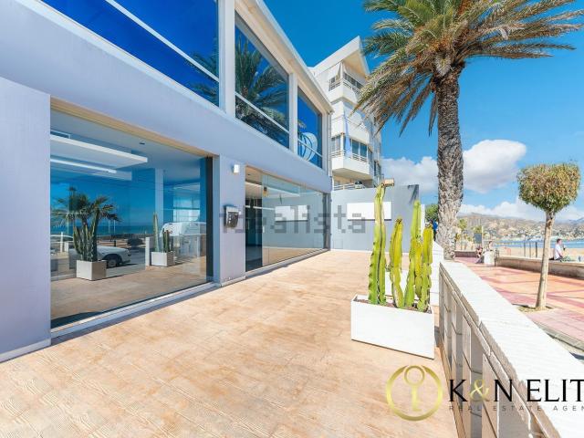 Local, El Campello