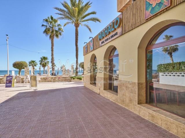 Local, El Campello