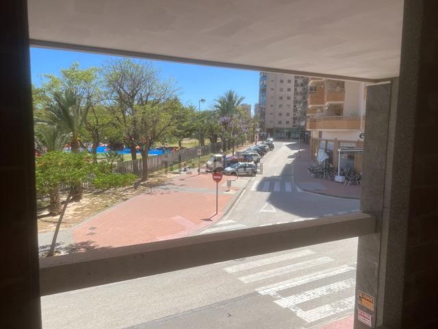 Local, El Campello