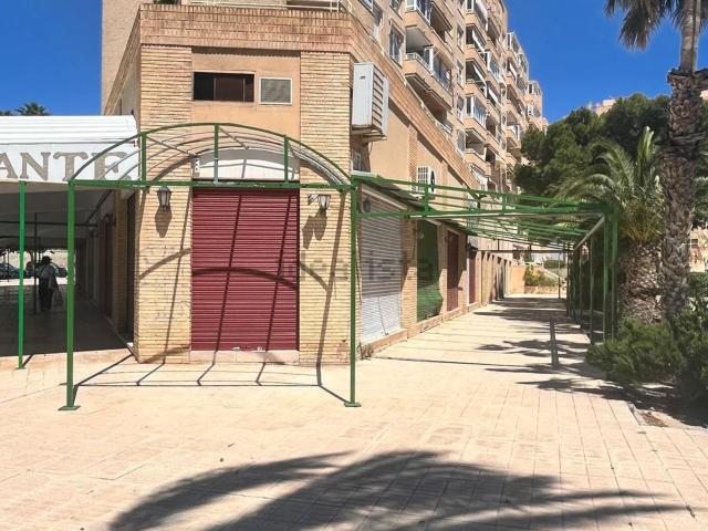 Local, El Campello