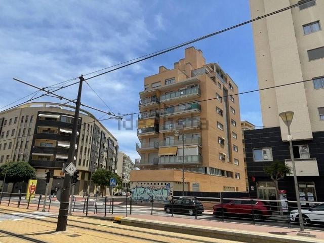 Local, El Campello