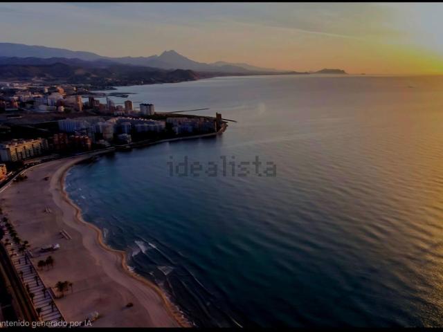 Local, El Campello