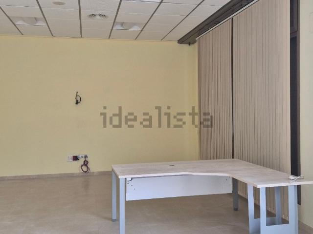 Local, El Campello