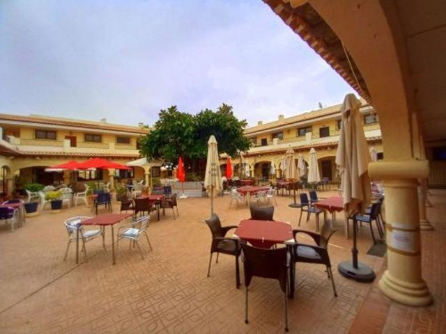 Local, El Campello