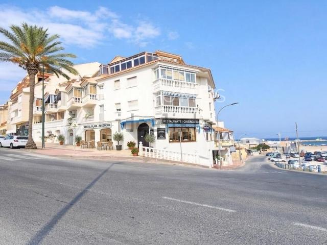 Local, El Campello
