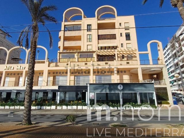 Local, El Campello