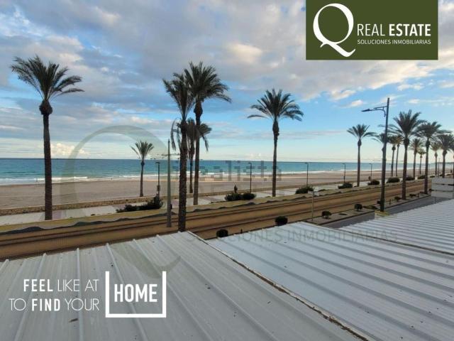 Local, El Campello