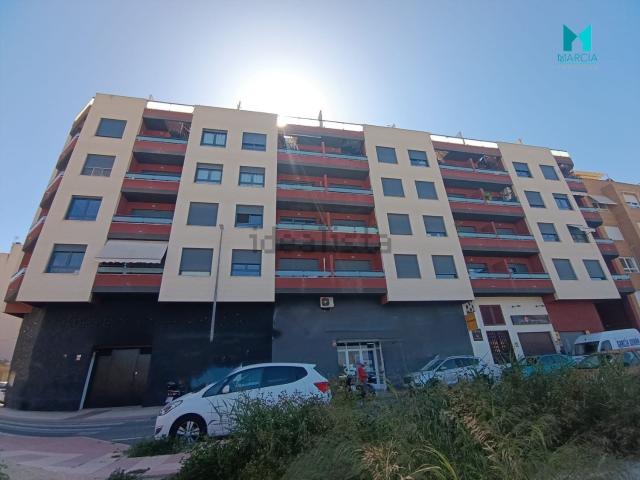 Local, El Campello