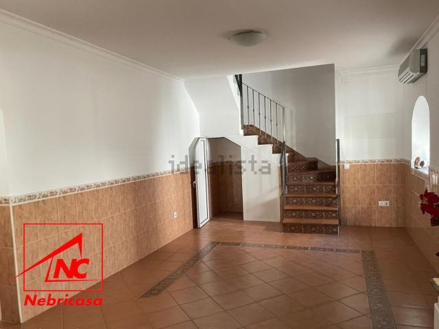 Local, El Cuervo de Sevilla