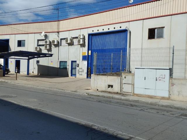 Local, El Llano, Molina de Segura