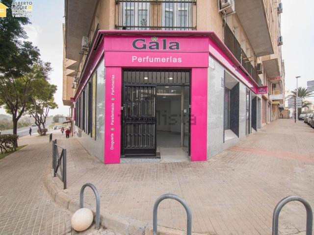 Local, Elche / Elx
