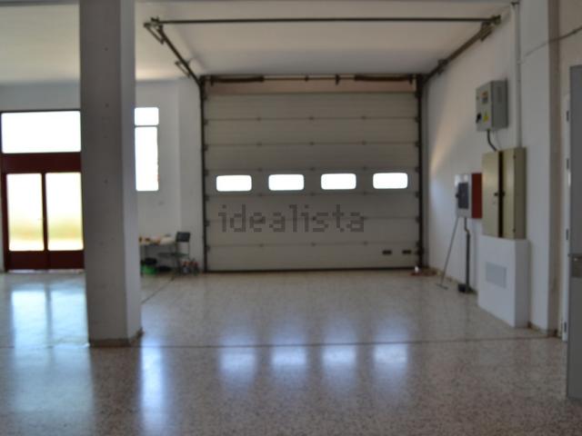 Local, Elche / Elx