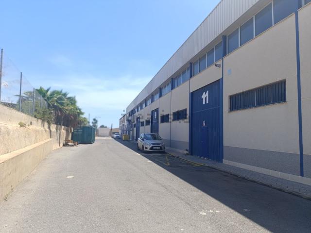 Local, Elche / Elx