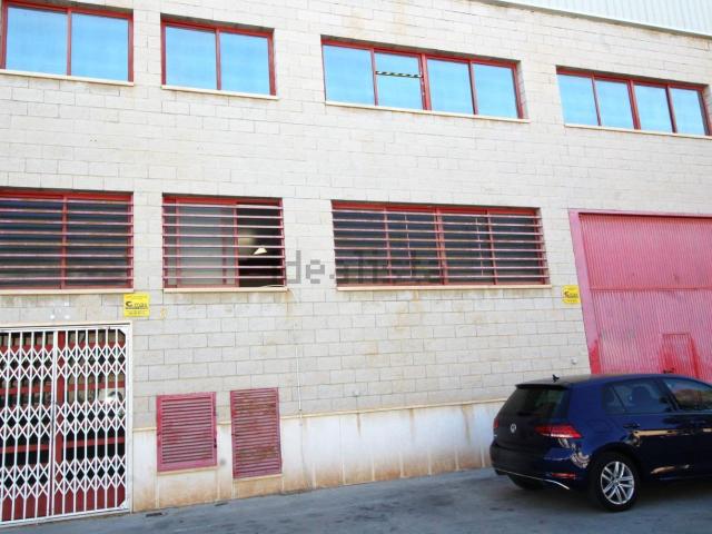 Local, Elche / Elx