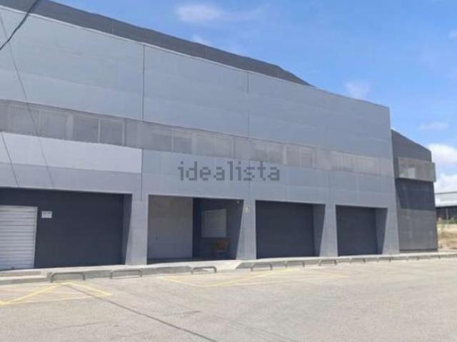 Local, Elche / Elx