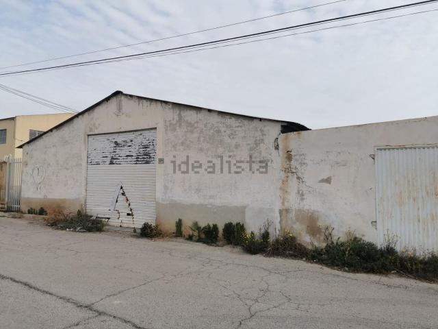 Local, Elche / Elx