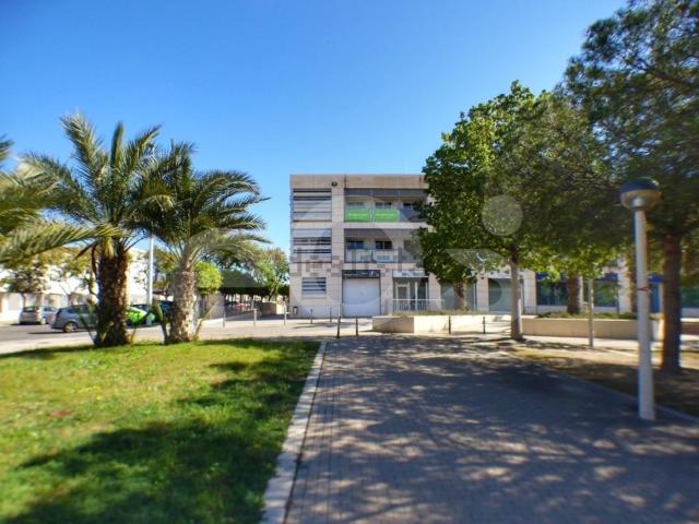 Local, Elche / Elx