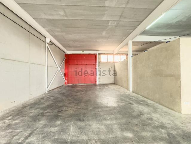 Local, Elche / Elx