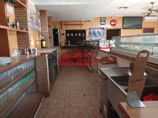 Local, Elche / Elx