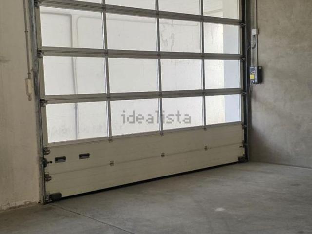 Local, Elche / Elx