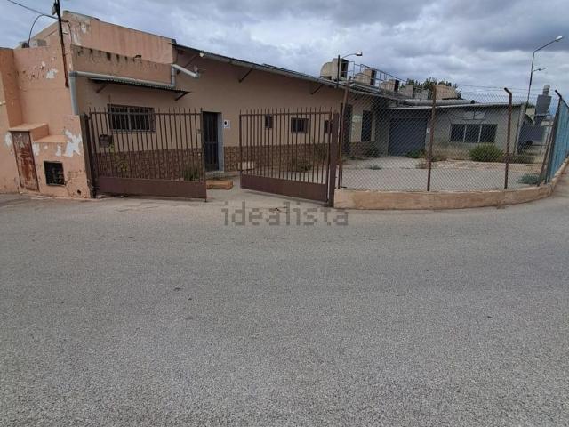Local, Elche / Elx