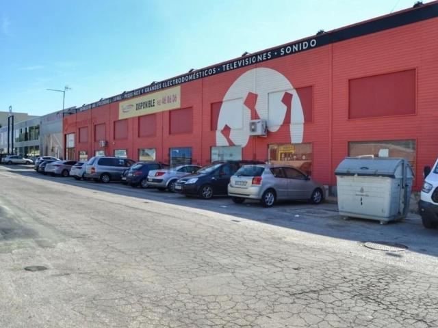 Local, Elche / Elx