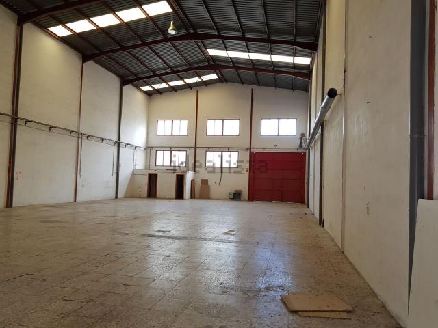 Local, Elche / Elx