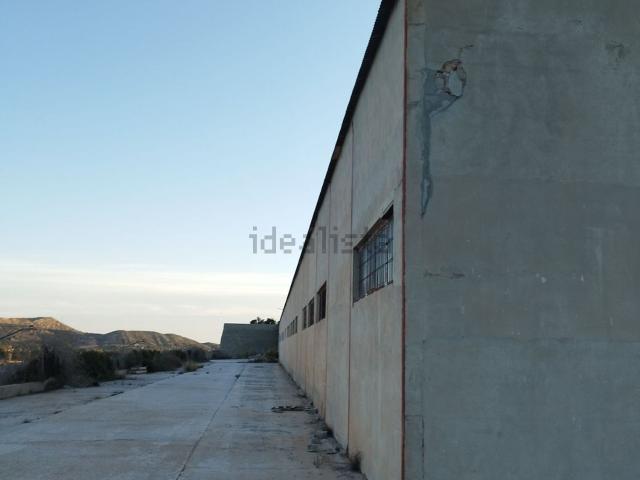Local, Elda