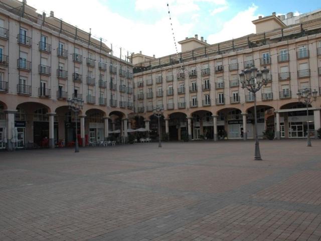 Local, Elda